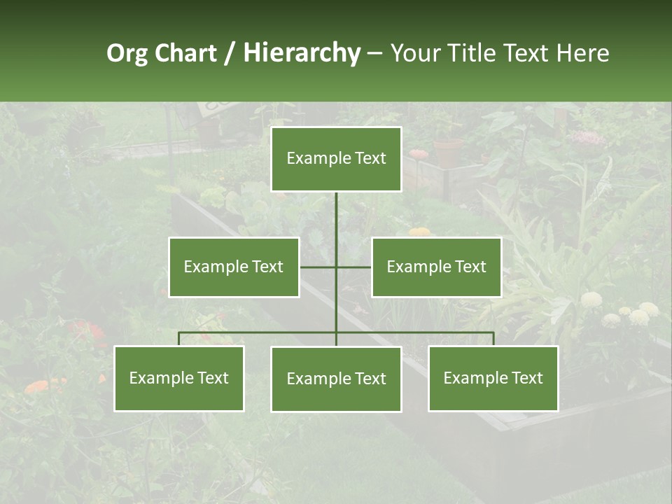 A Garden Filled With Lots Of Different Types Of Plants PowerPoint Template
