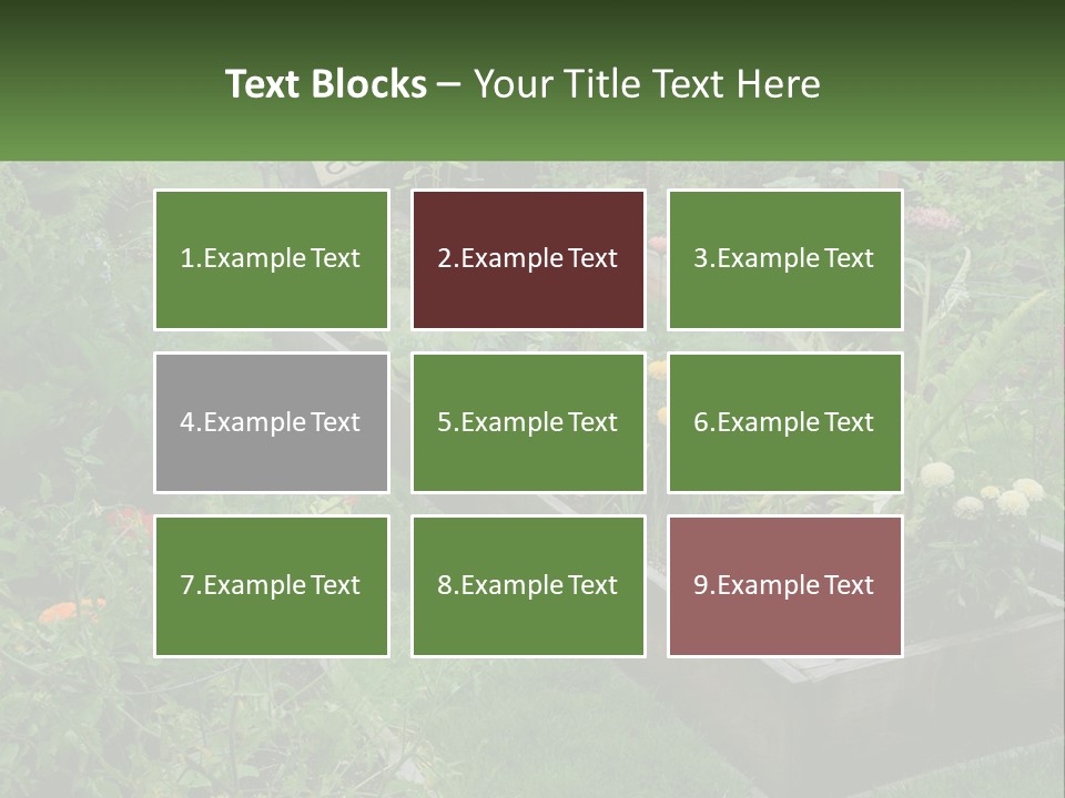 A Garden Filled With Lots Of Different Types Of Plants PowerPoint Template