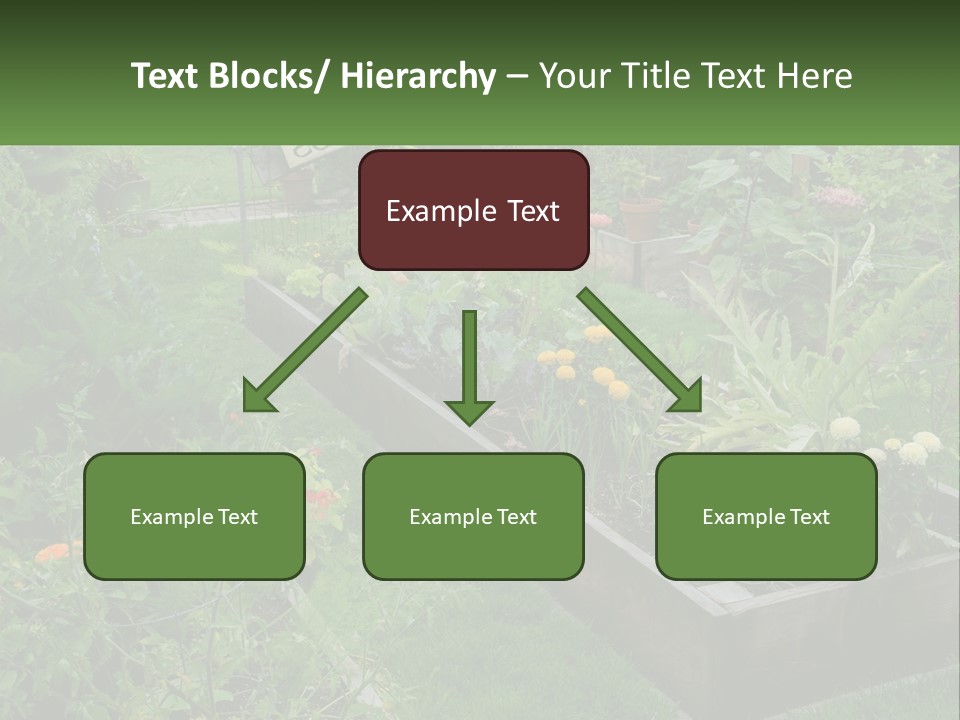 A Garden Filled With Lots Of Different Types Of Plants PowerPoint Template
