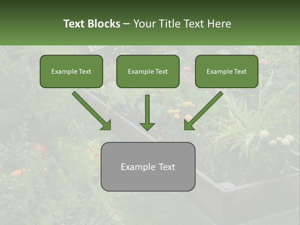 A Garden Filled With Lots Of Different Types Of Plants PowerPoint Template