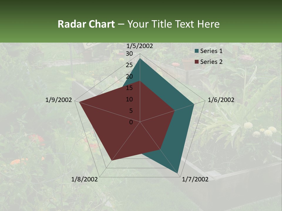 A Garden Filled With Lots Of Different Types Of Plants PowerPoint Template