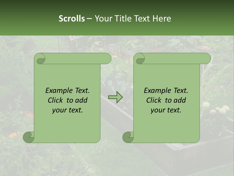 A Garden Filled With Lots Of Different Types Of Plants PowerPoint Template