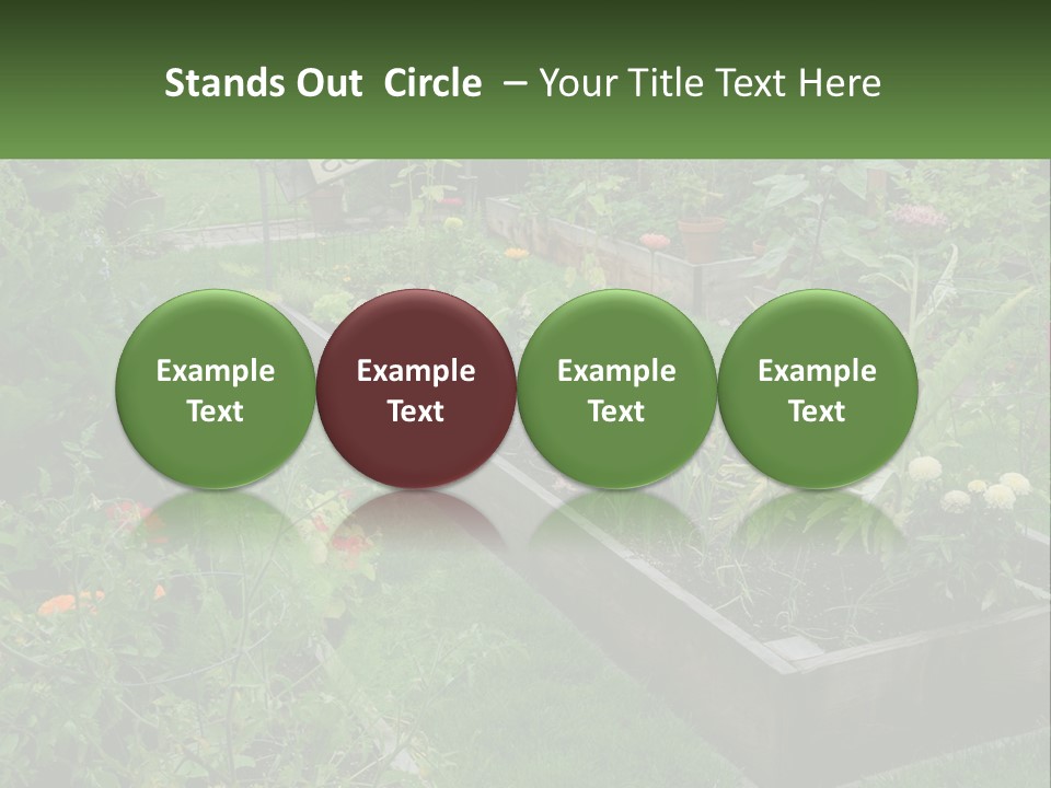 A Garden Filled With Lots Of Different Types Of Plants PowerPoint Template