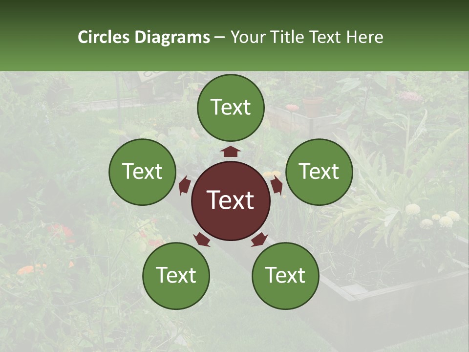 A Garden Filled With Lots Of Different Types Of Plants PowerPoint Template