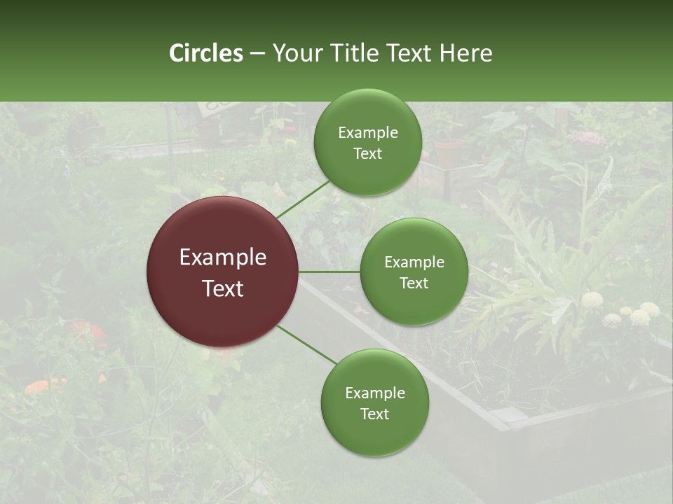 A Garden Filled With Lots Of Different Types Of Plants PowerPoint Template