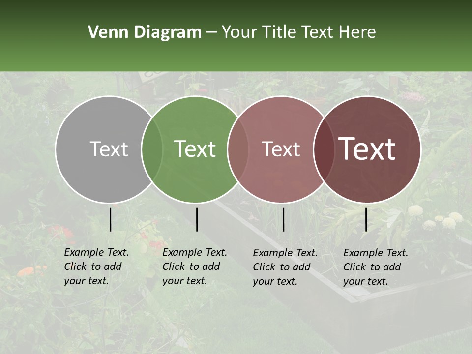 A Garden Filled With Lots Of Different Types Of Plants PowerPoint Template