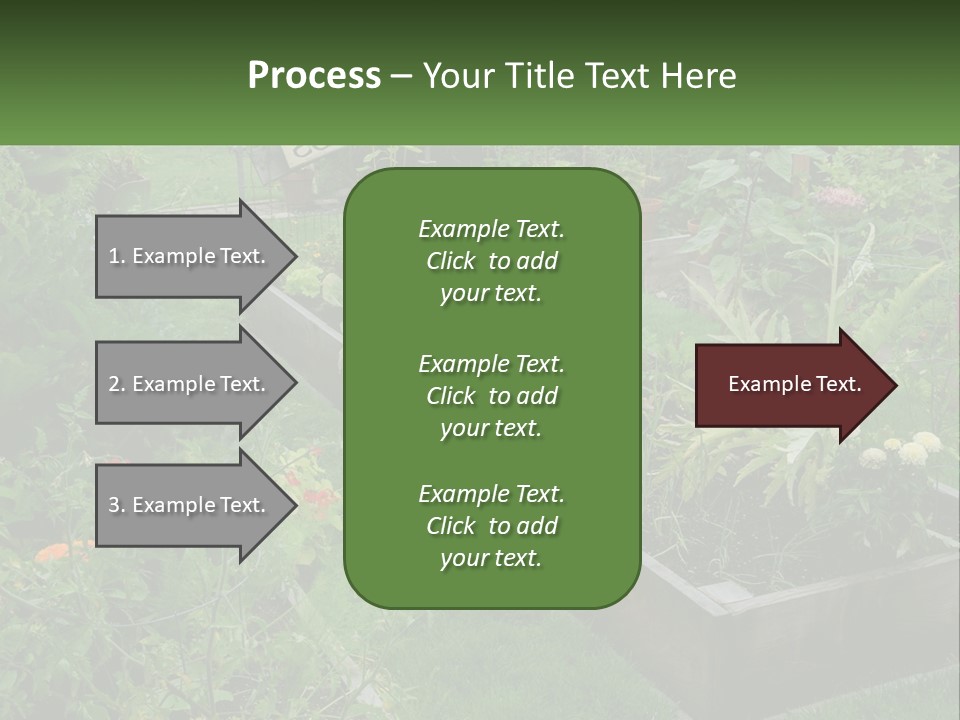 A Garden Filled With Lots Of Different Types Of Plants PowerPoint Template