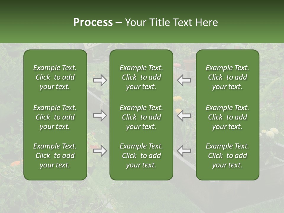 A Garden Filled With Lots Of Different Types Of Plants PowerPoint Template