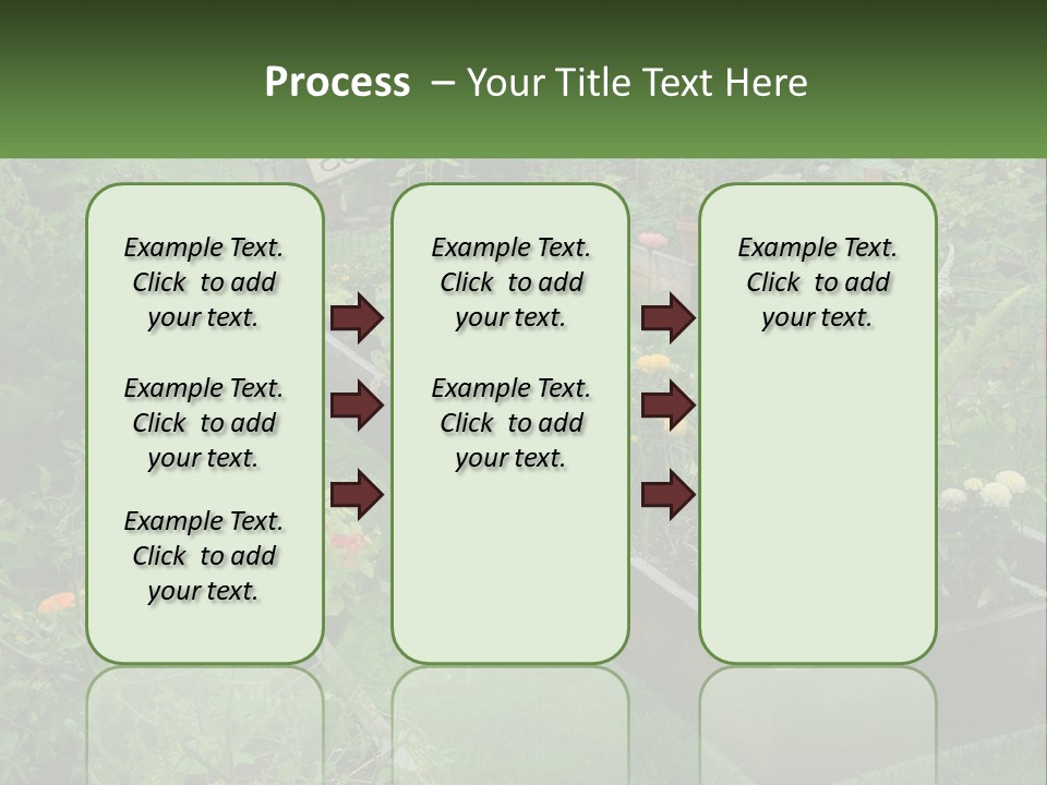 A Garden Filled With Lots Of Different Types Of Plants PowerPoint Template