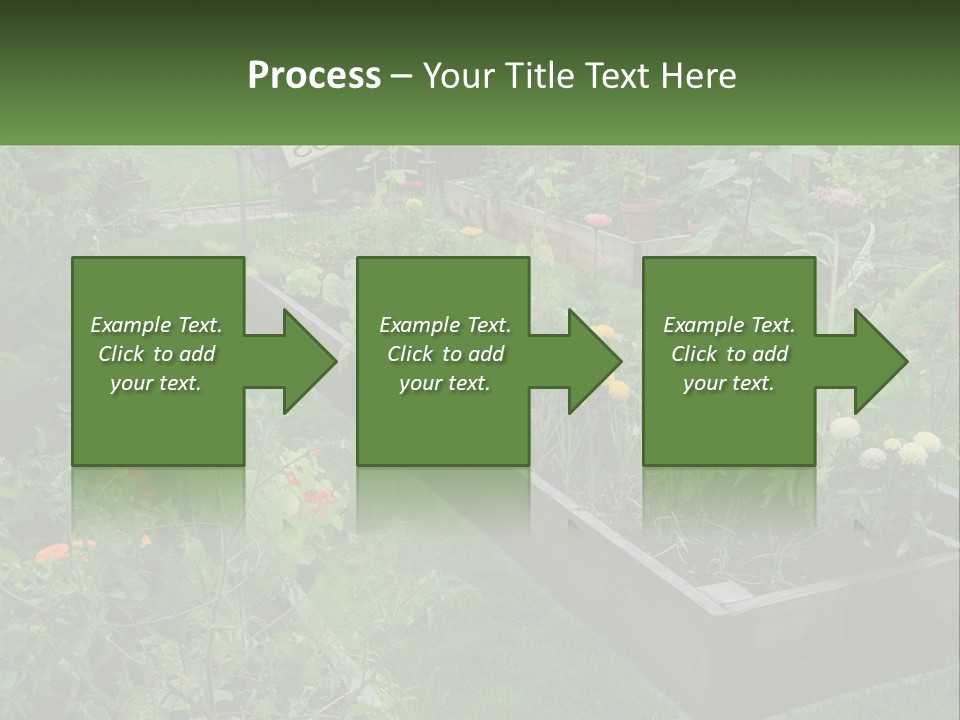 A Garden Filled With Lots Of Different Types Of Plants PowerPoint Template