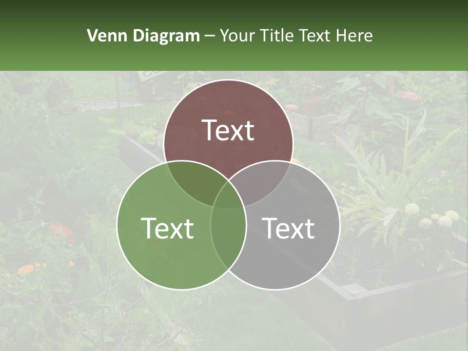 A Garden Filled With Lots Of Different Types Of Plants PowerPoint Template