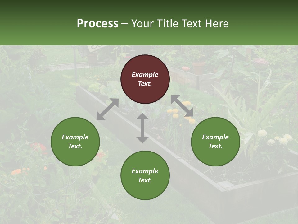 A Garden Filled With Lots Of Different Types Of Plants PowerPoint Template