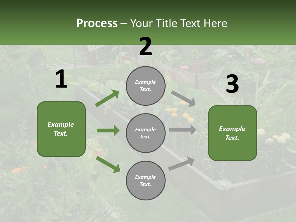 A Garden Filled With Lots Of Different Types Of Plants PowerPoint Template
