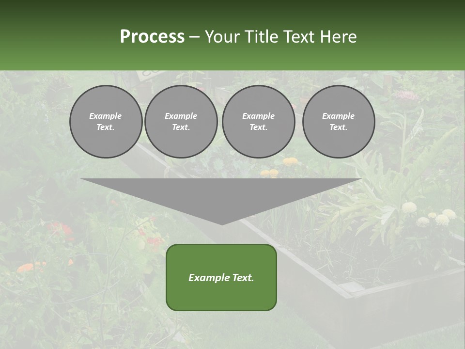 A Garden Filled With Lots Of Different Types Of Plants PowerPoint Template