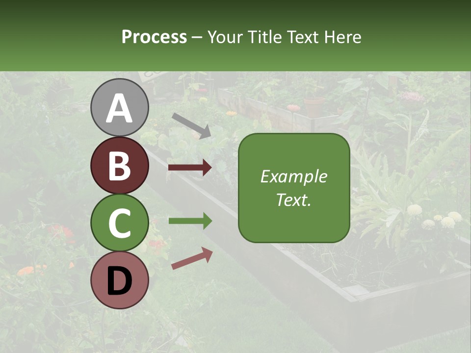 A Garden Filled With Lots Of Different Types Of Plants PowerPoint Template