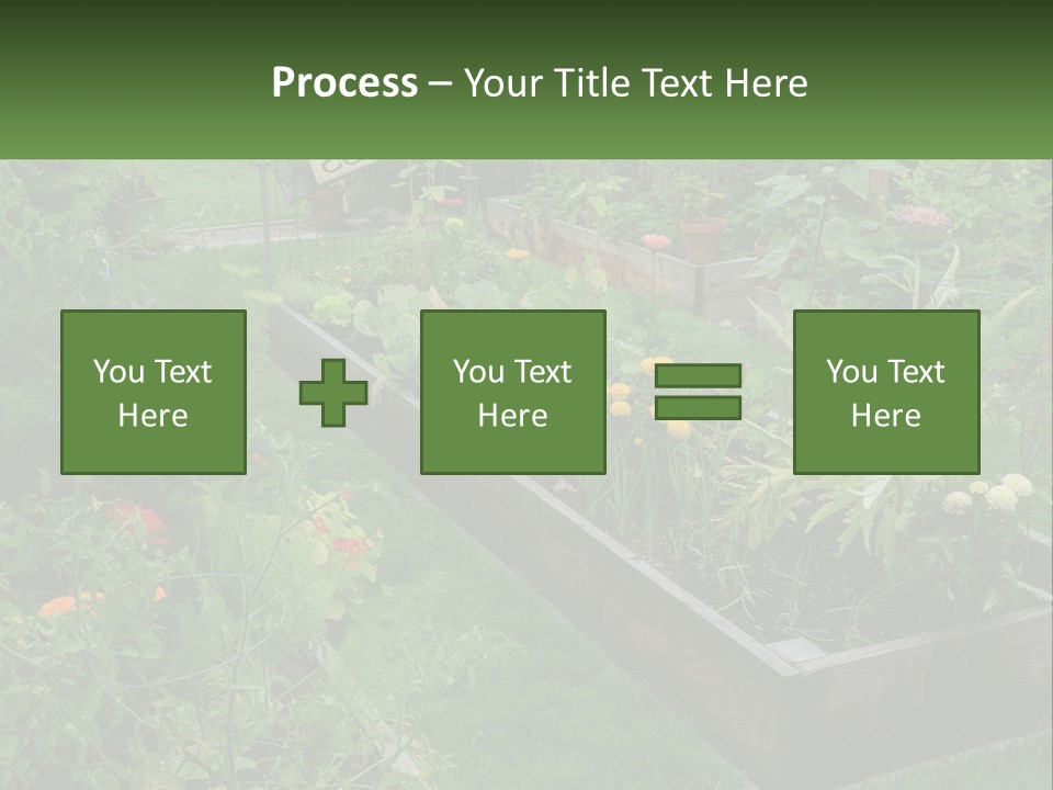 A Garden Filled With Lots Of Different Types Of Plants PowerPoint Template