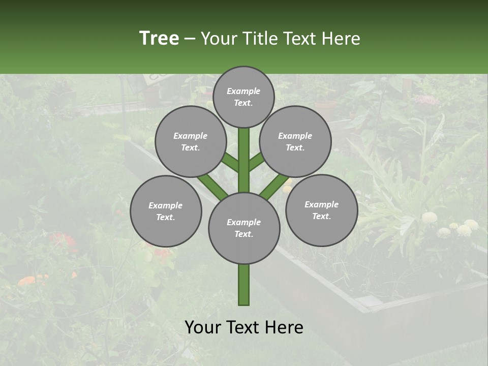 A Garden Filled With Lots Of Different Types Of Plants PowerPoint Template