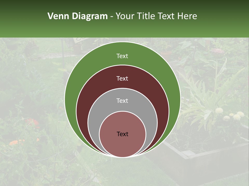 A Garden Filled With Lots Of Different Types Of Plants PowerPoint Template