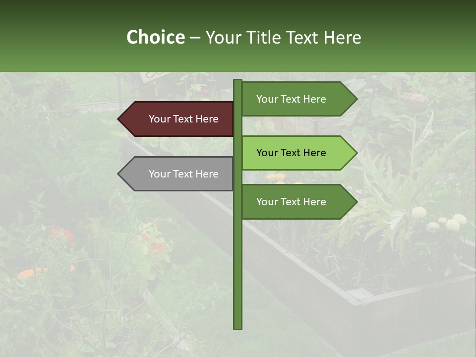 A Garden Filled With Lots Of Different Types Of Plants PowerPoint Template