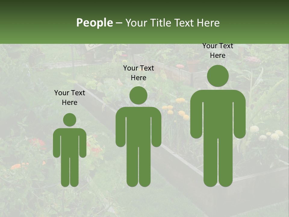 A Garden Filled With Lots Of Different Types Of Plants PowerPoint Template