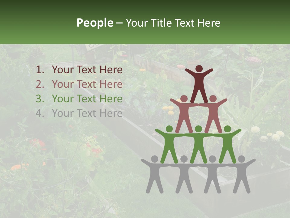 A Garden Filled With Lots Of Different Types Of Plants PowerPoint Template