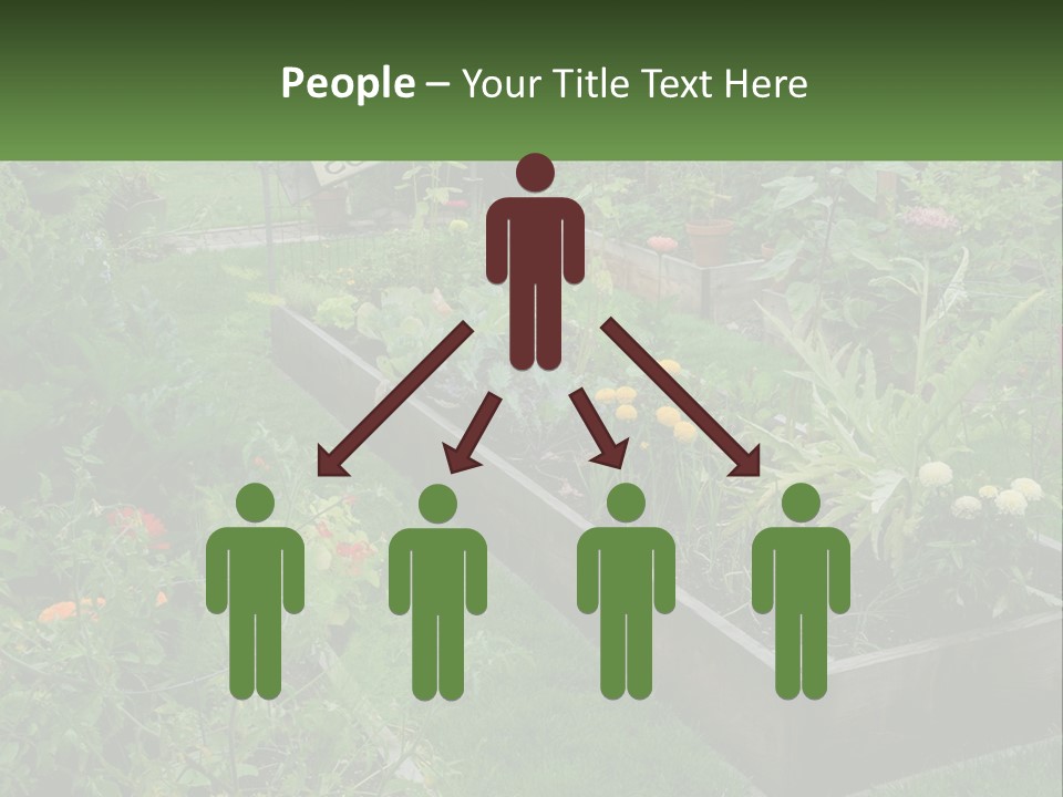 A Garden Filled With Lots Of Different Types Of Plants PowerPoint Template