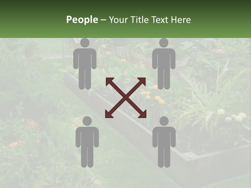 A Garden Filled With Lots Of Different Types Of Plants PowerPoint Template