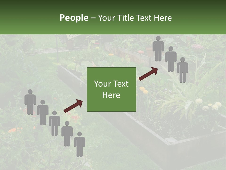 A Garden Filled With Lots Of Different Types Of Plants PowerPoint Template