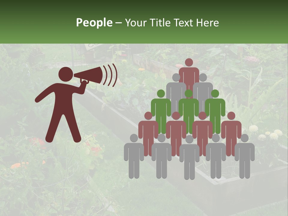 A Garden Filled With Lots Of Different Types Of Plants PowerPoint Template