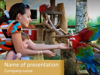 A Woman Holding A Child And Feeding A Parrot PowerPoint Template