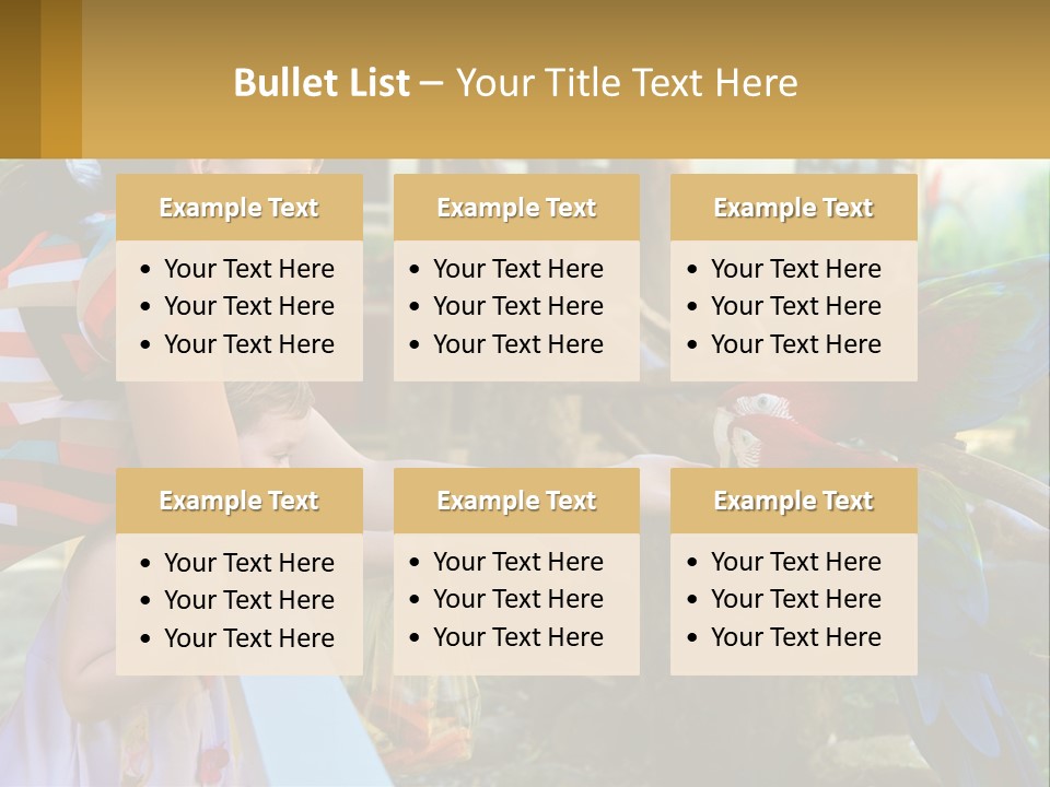 A Woman Holding A Child And Feeding A Parrot PowerPoint Template