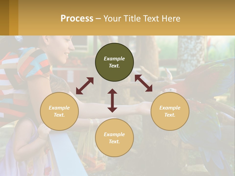 A Woman Holding A Child And Feeding A Parrot PowerPoint Template