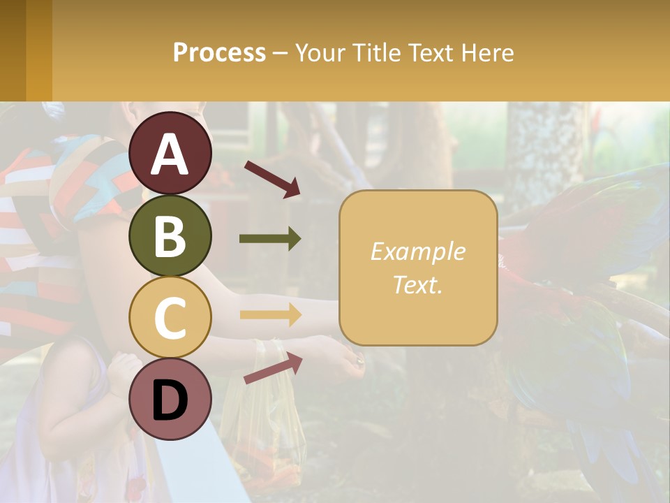 A Woman Holding A Child And Feeding A Parrot PowerPoint Template