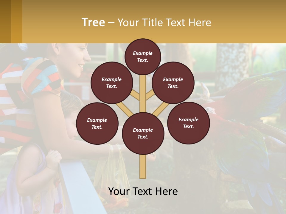 A Woman Holding A Child And Feeding A Parrot PowerPoint Template