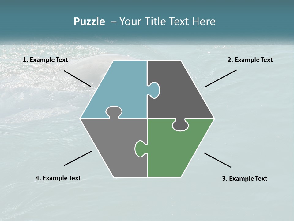 A Dolphin Swimming In The Water With A Ball In Its Mouth PowerPoint Template