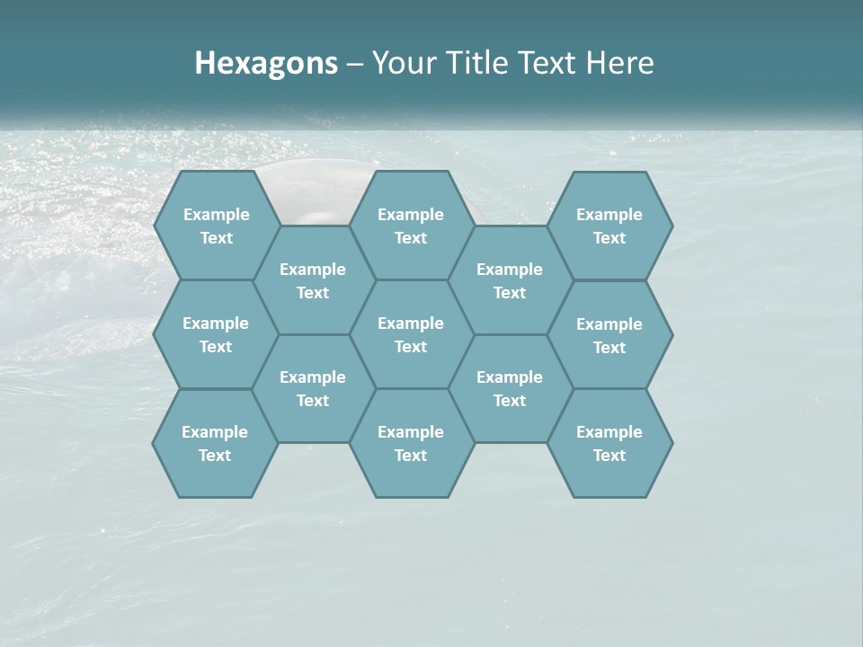 A Dolphin Swimming In The Water With A Ball In Its Mouth PowerPoint Template