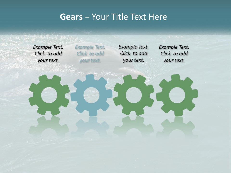 A Dolphin Swimming In The Water With A Ball In Its Mouth PowerPoint Template