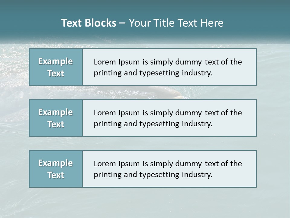 A Dolphin Swimming In The Water With A Ball In Its Mouth PowerPoint Template