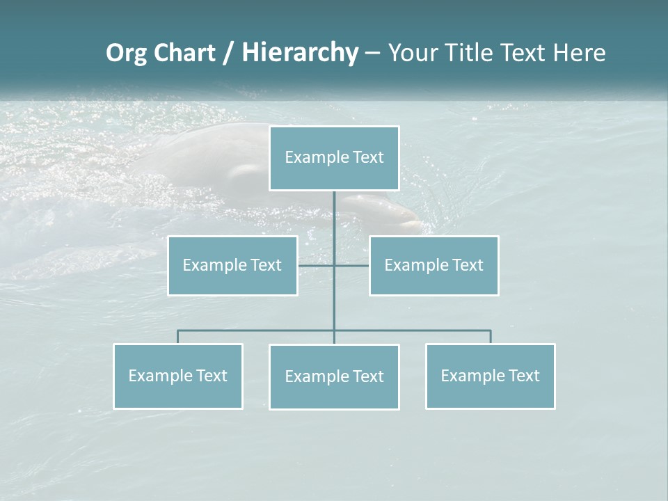 A Dolphin Swimming In The Water With A Ball In Its Mouth PowerPoint Template