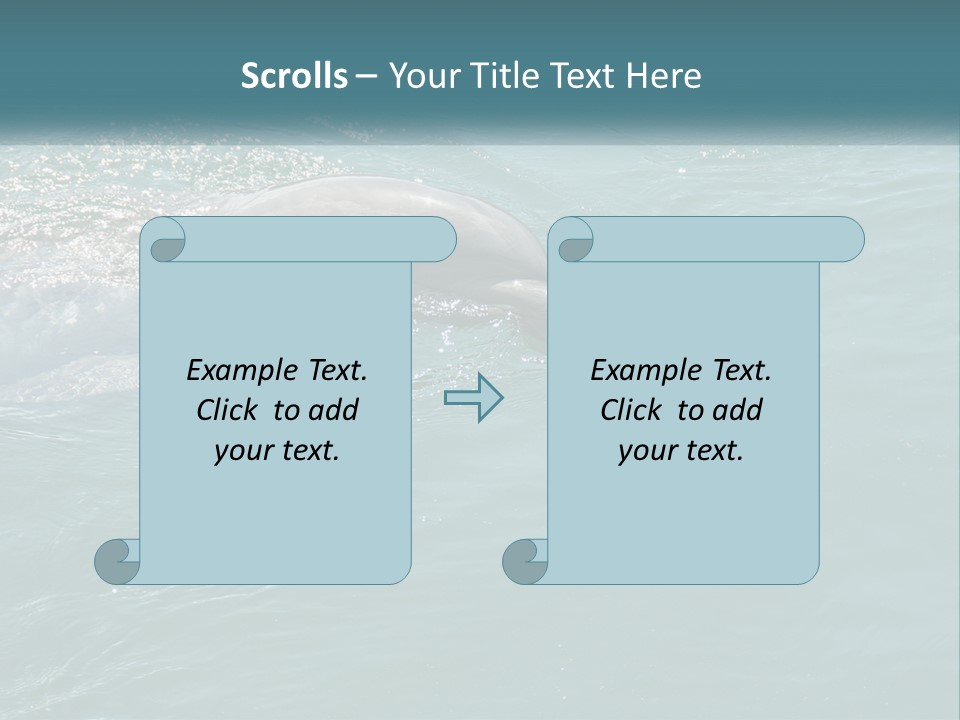 A Dolphin Swimming In The Water With A Ball In Its Mouth PowerPoint Template