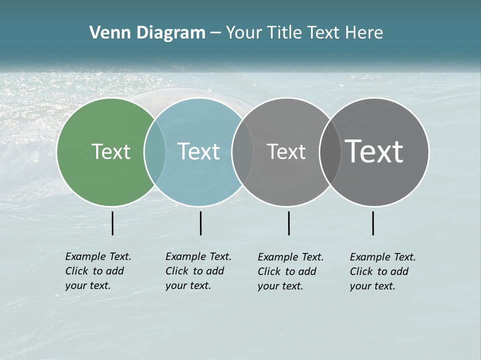 A Dolphin Swimming In The Water With A Ball In Its Mouth PowerPoint Template