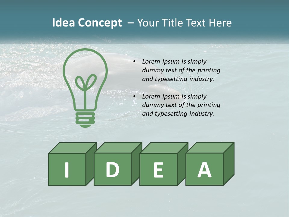 A Dolphin Swimming In The Water With A Ball In Its Mouth PowerPoint Template