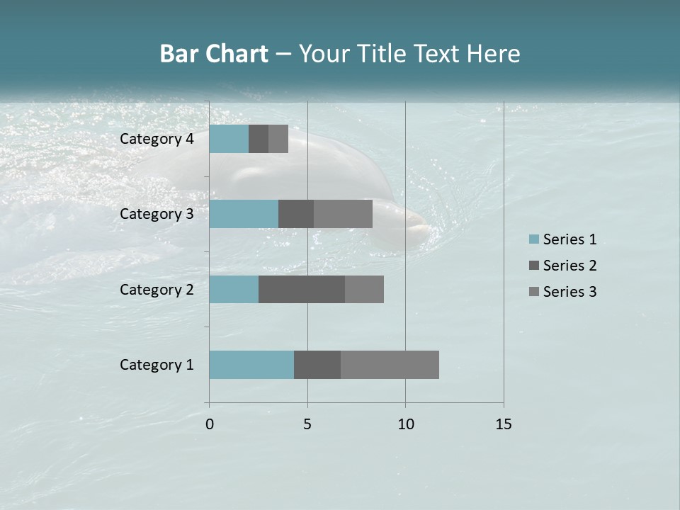 A Dolphin Swimming In The Water With A Ball In Its Mouth PowerPoint Template