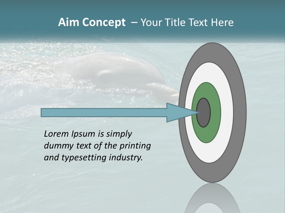 A Dolphin Swimming In The Water With A Ball In Its Mouth PowerPoint Template