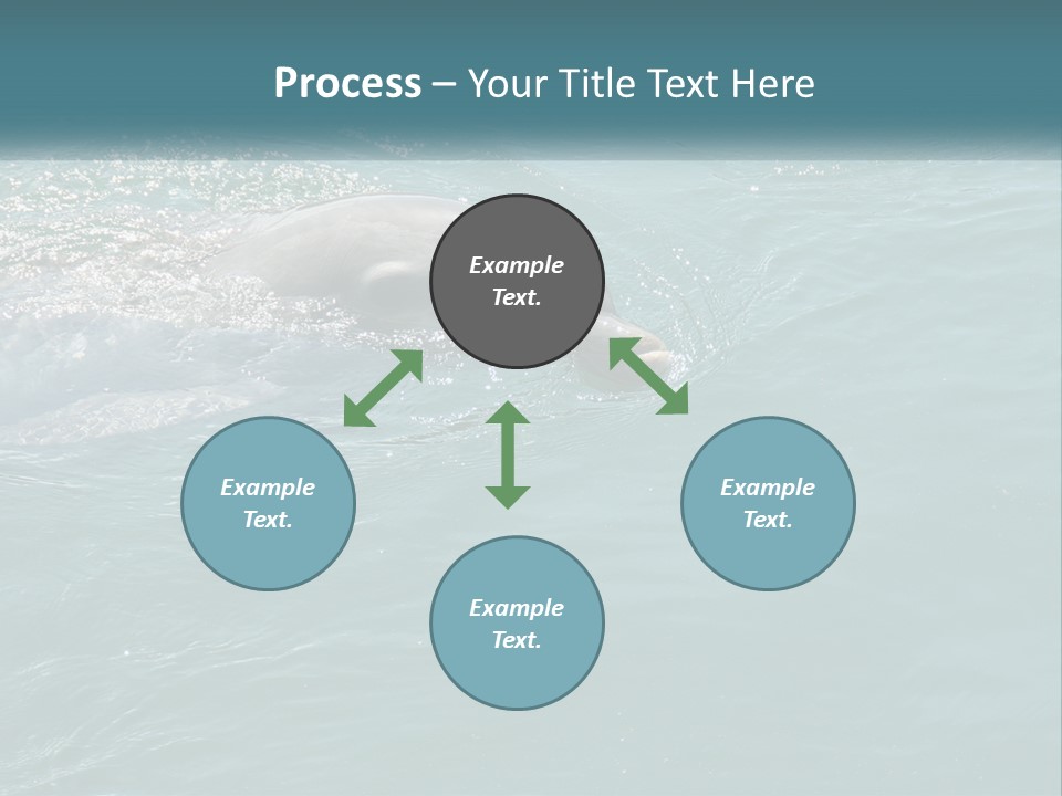 A Dolphin Swimming In The Water With A Ball In Its Mouth PowerPoint Template