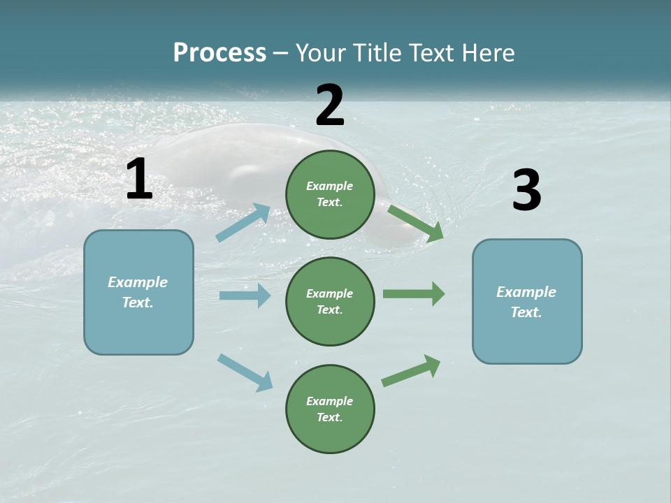 A Dolphin Swimming In The Water With A Ball In Its Mouth PowerPoint Template