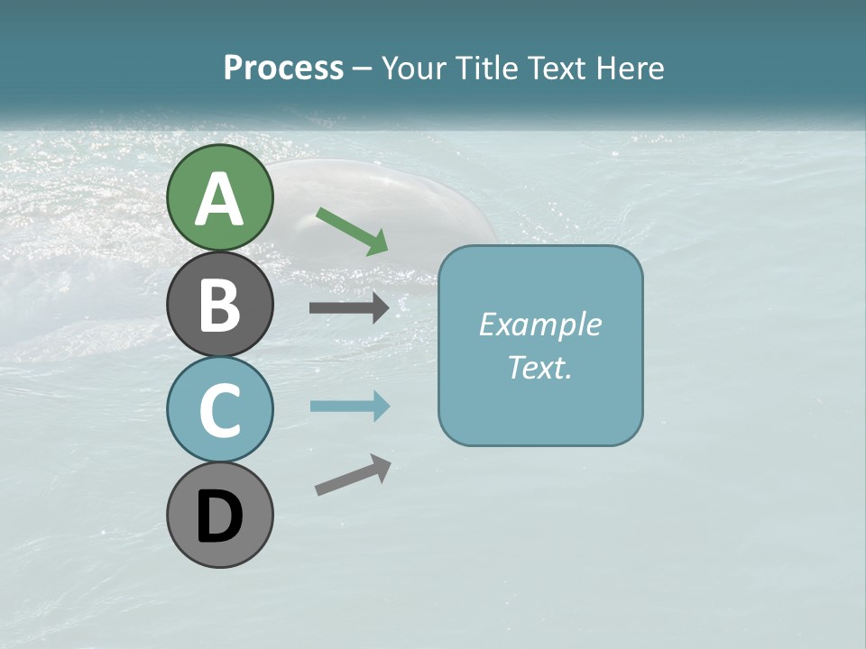 A Dolphin Swimming In The Water With A Ball In Its Mouth PowerPoint Template