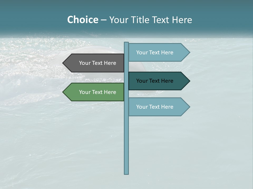 A Dolphin Swimming In The Water With A Ball In Its Mouth PowerPoint Template