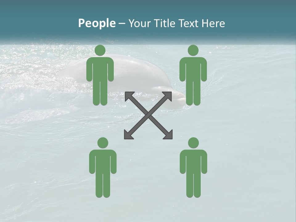 A Dolphin Swimming In The Water With A Ball In Its Mouth PowerPoint Template