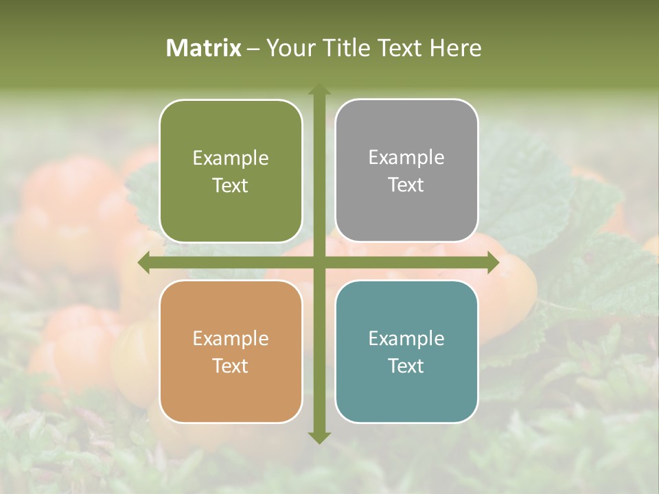A Group Of Orange Berries Sitting On Top Of Green Leaves PowerPoint Template